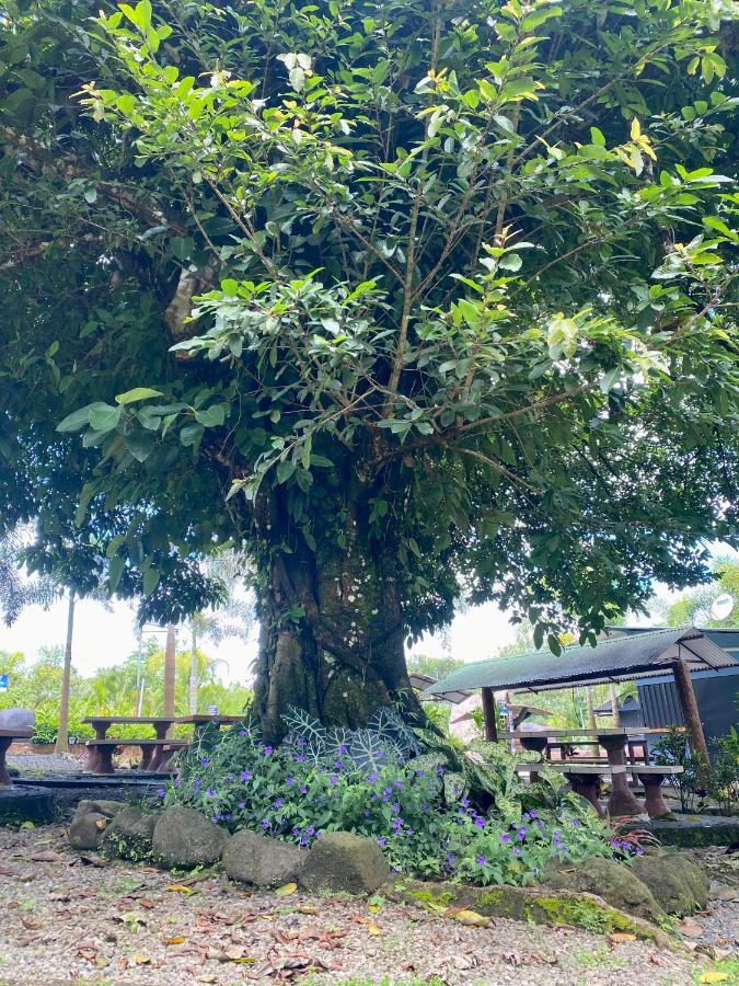 Hotel Termales Del Arenal La Fortuna Zewnętrze zdjęcie